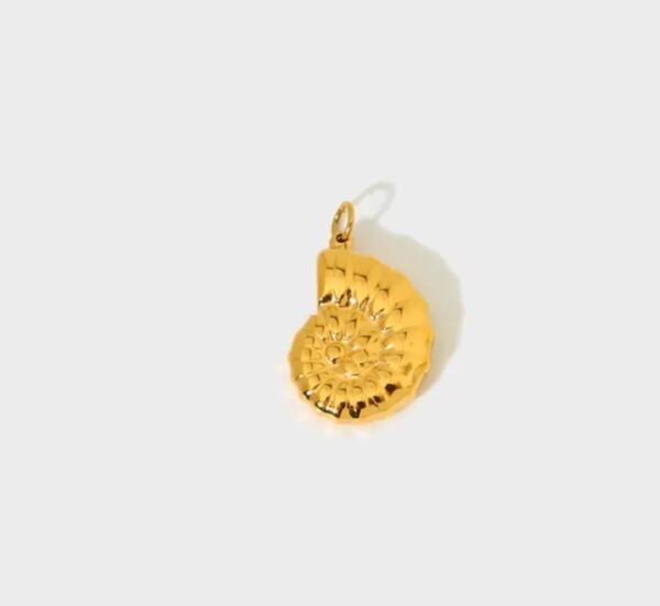 Sea shell Charms
