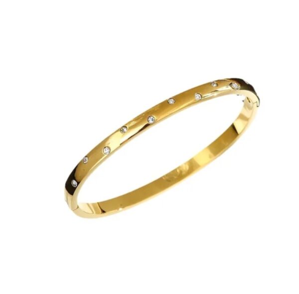 Dainty studded bangle