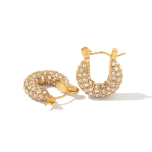 Zircon studded hoop earrings