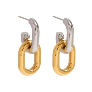 Dual tone Link Earrings